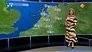 Weervrouw Willemijn Hoebert schokt Journaalkijkers met outfit